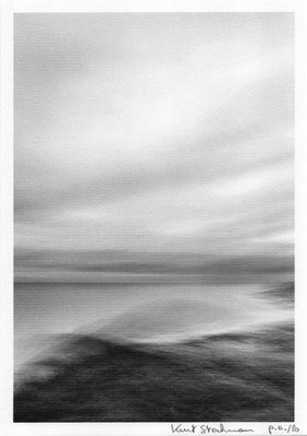 Larus-bw