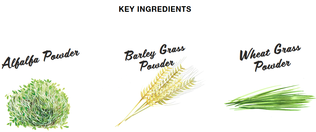 Fields of Green: Awesome Powerhouse of greens for your health