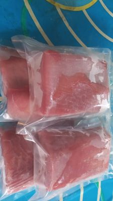 Fillet Ikan