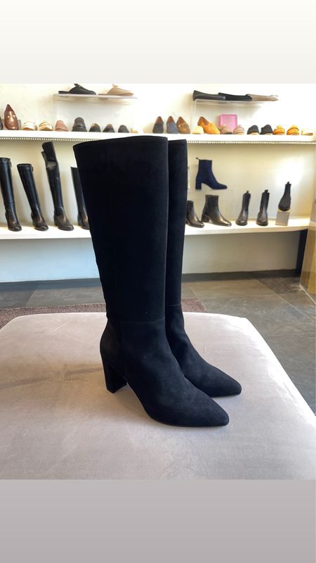 Cinzia Stiefel