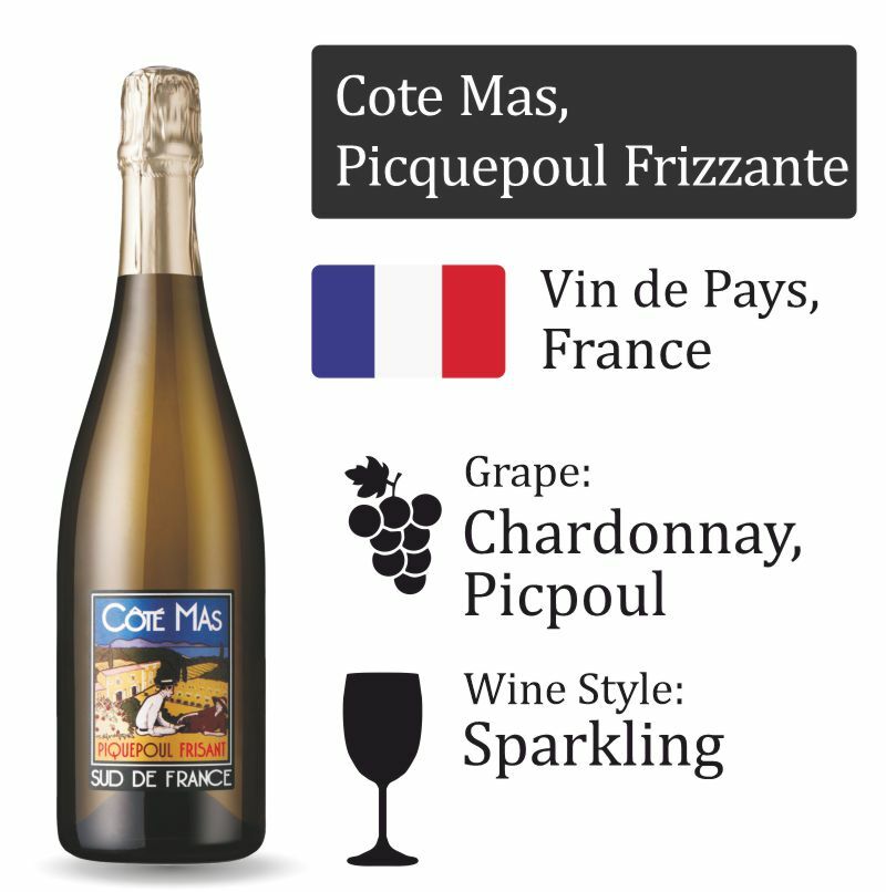 Domaine Paul Mas Case of 12 Domaine Paul Mas Case of 12