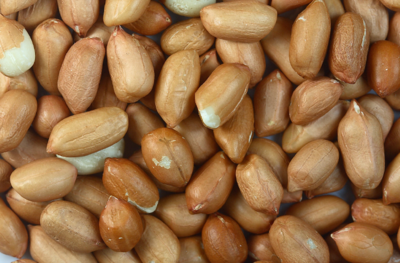 Peanuts for Wild Birds - 1kg