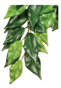 Exo Terra Silk Ficus Plant - Large