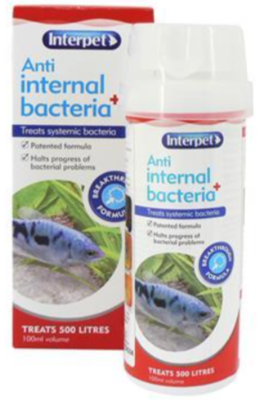 Interpet Anti Internal Bacteria Treatment - 100ml