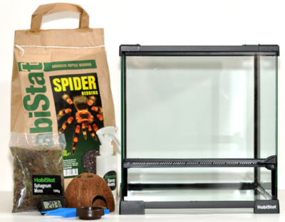 Habistat Spider Starter Kit