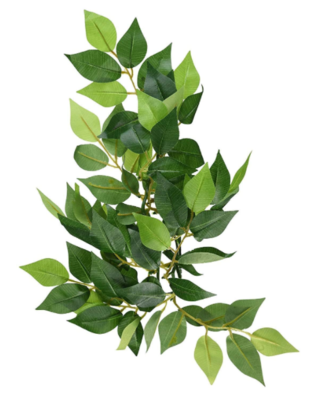 Exo Terra Silk Ficus Plant - Medium