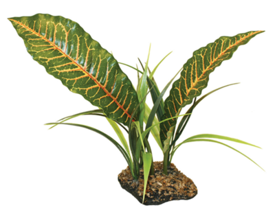 Komodo Tropical Canopy - 31cm