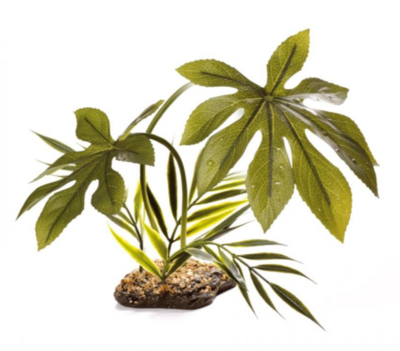 Komodo Jungle Canopy - 42cm