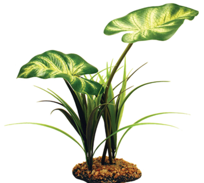 Komodo Broadleaf Canopy - 26cm