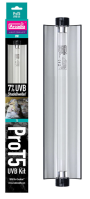 Lighting &amp; Heating