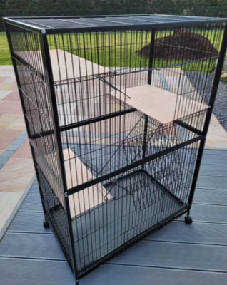 Taipai One Rat Enclosure with Wooden Platforms - Suitable For Adult Rats