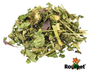 Rodipet® Bio Echinacea Purpurea - 80g