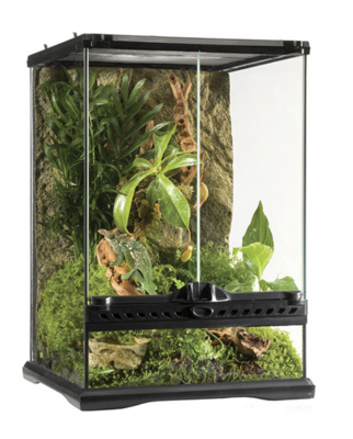 Exo Terra Glass Terrarium Nano - 21 x 21 x 30cm