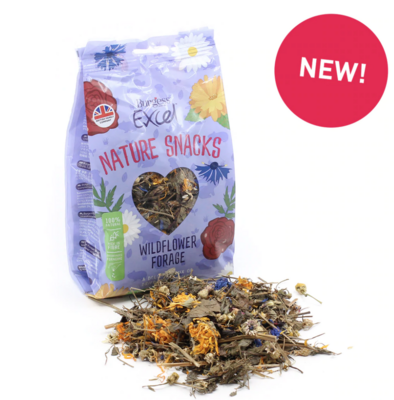 Burgess Excel Nature Snacks Wildflower Forage Mix - 75g