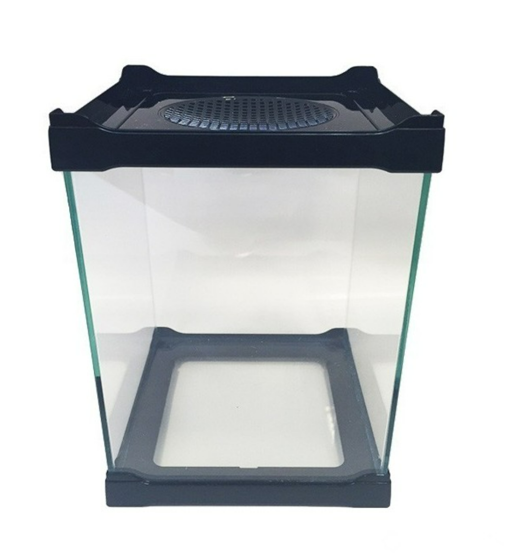 Jnk Ista Glass Invertebrate Enclosure - 16 x 16 x 21cm