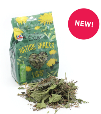 Burgess Excel Nature Snacks Luscious Leaves - 60g