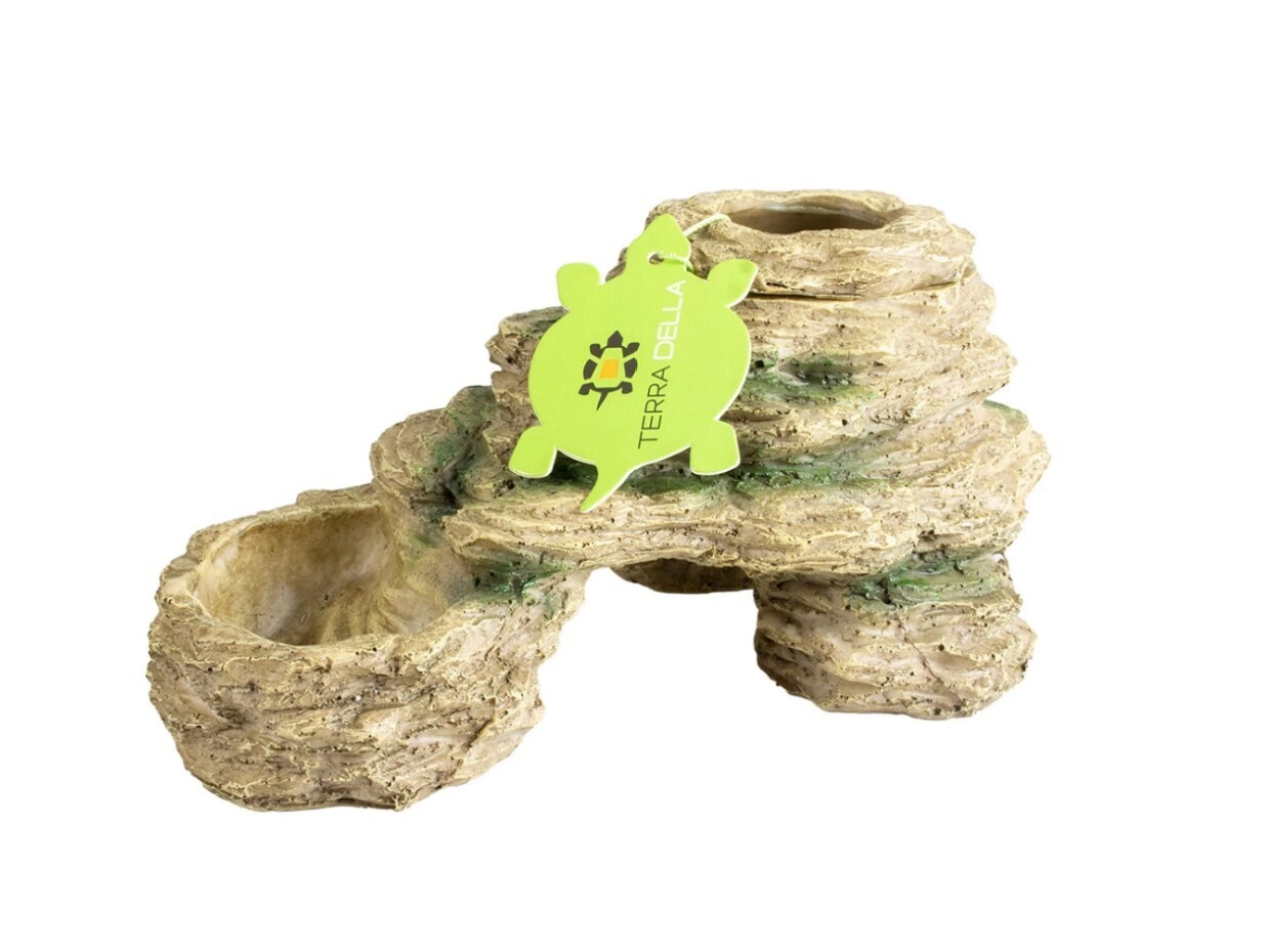 Terra Della Cave with Mealworm Dish &amp; Water Dish