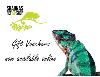 Gift Vouchers