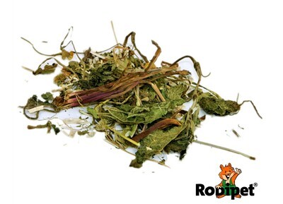 Rodipet® Sense of Joy &#39;&#39;Enjoy&#39;&#39; Forage Mix - 300g