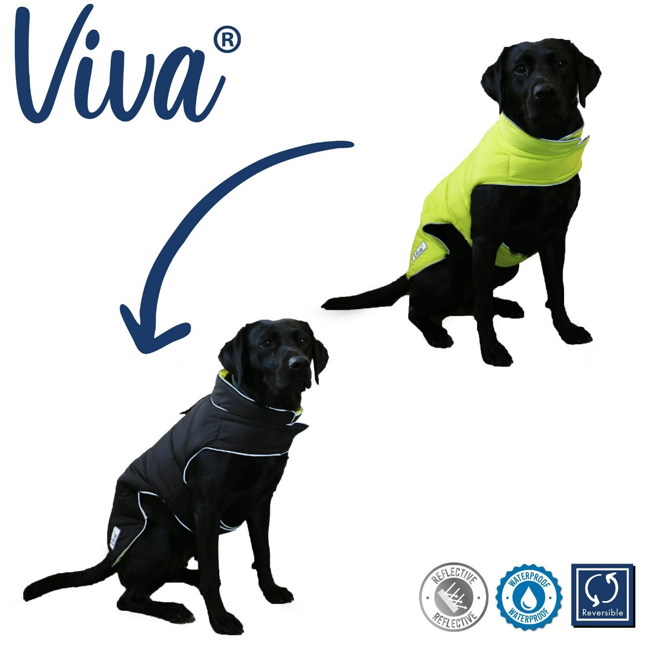 Ancol Viva Reversible Coat Black/Yellow