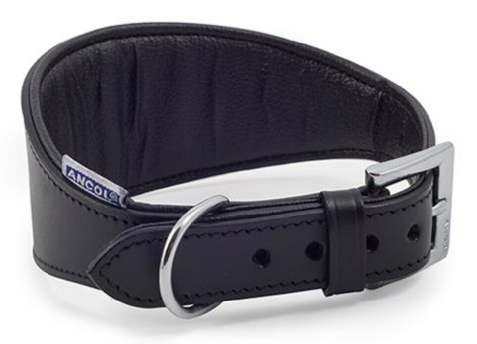 Ancol Luxury Padded Leather Gryehound Collar - Black 48cm