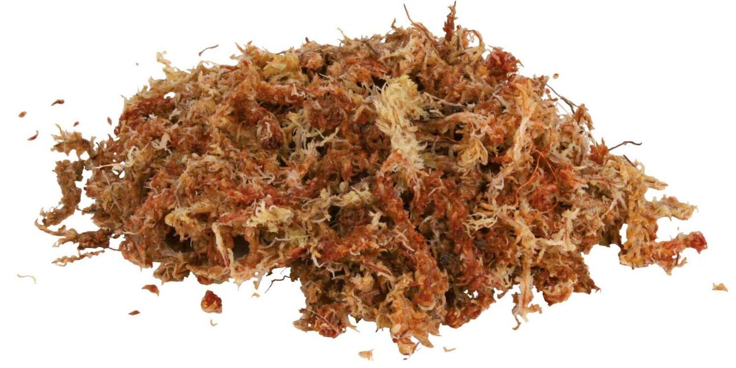 Lucky Reptile Dried Sphagnum Moss - 100g