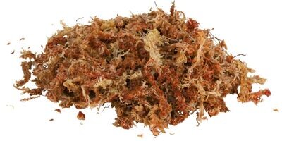 Lucky Reptile Dried Sphagnum Moss - 100g