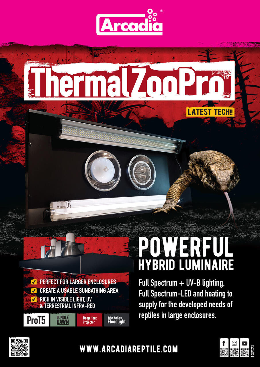Arcadia ThermalZooPro Lighting System with T5 UVB, Jungle Dawn Bar, Deep Heat Projector &amp; Solar Basking Floodlight