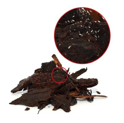 Springtails - 80g
