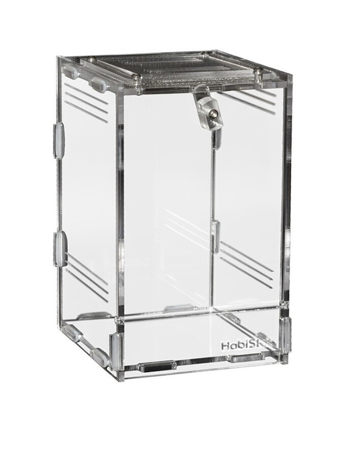 Habistat Clear Invertebrate Home - Small 10 x 11.5 x 16.5cm
