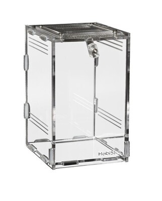 Habistat Clear Invertebrate Home - Small 10 x 11.5 x 16.5cm