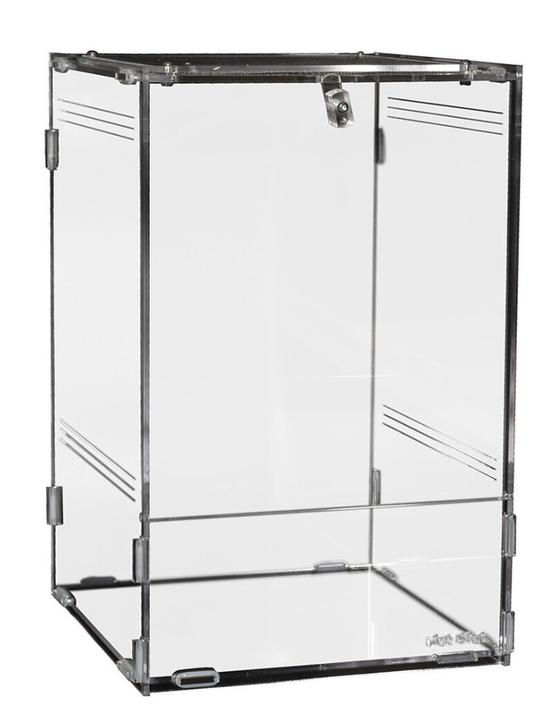 Habistat Clear Invertebrate Home - Large 18.5 x 19.5 x 29cm