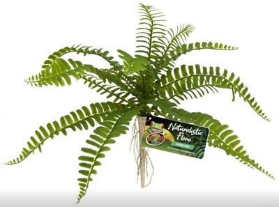 ZooMed Naturalistic Plant - Sword