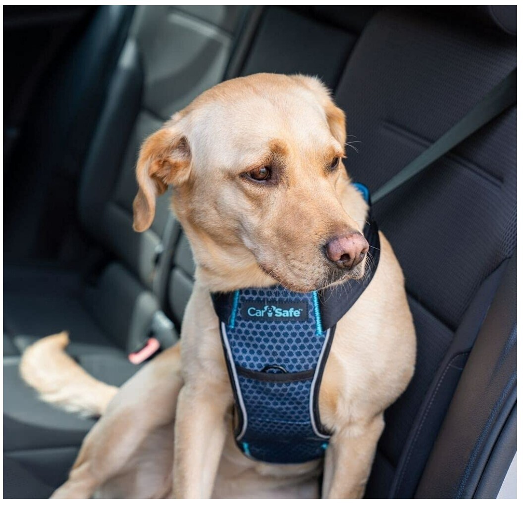 Clix dog clearance car harness