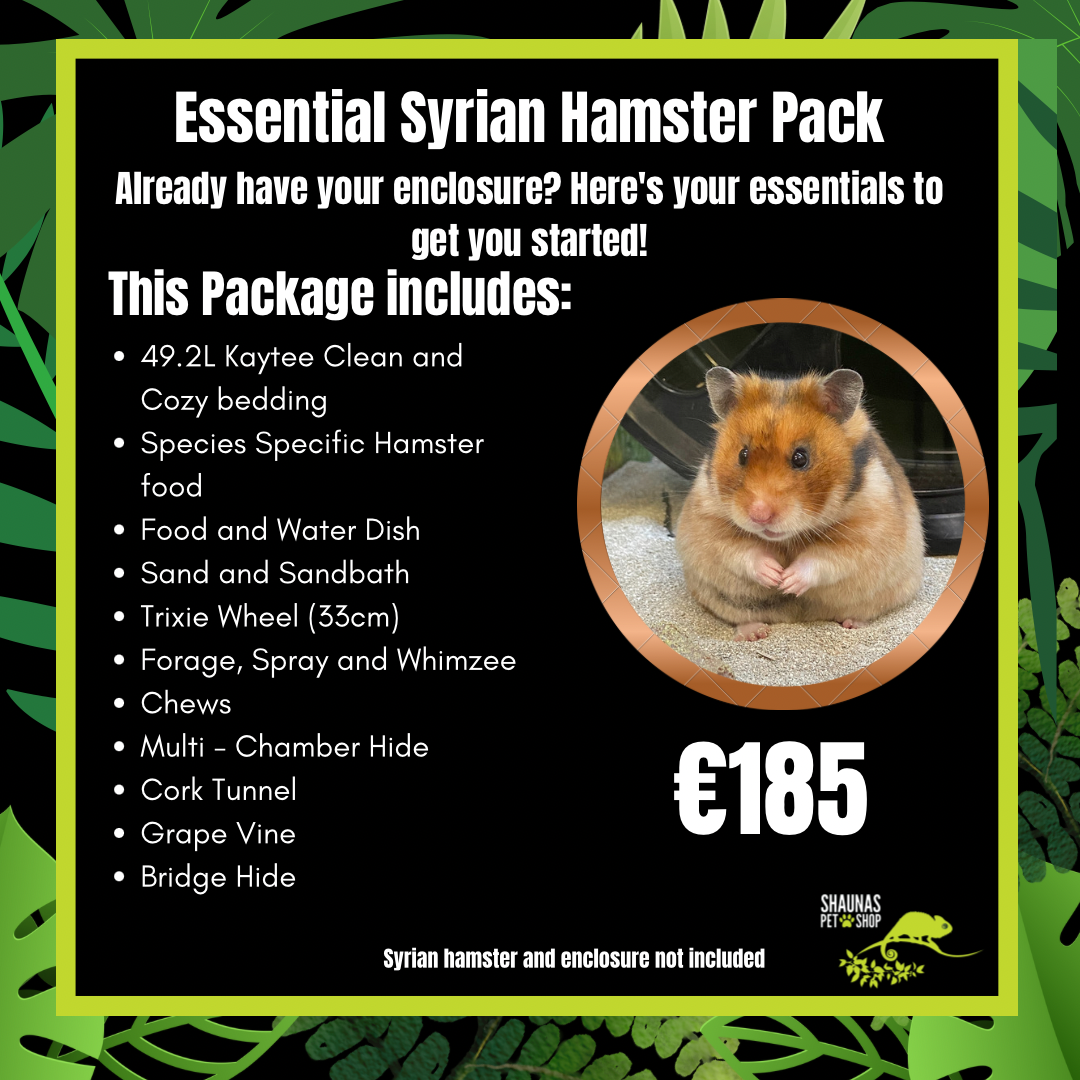 Essential Syrian Hamster Pack