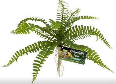 Artificial Plants 