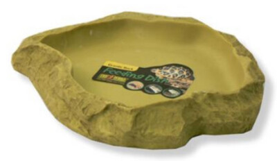 Bowls and Feeding Accessories 