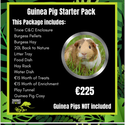 Essential Guinea Pig Pack