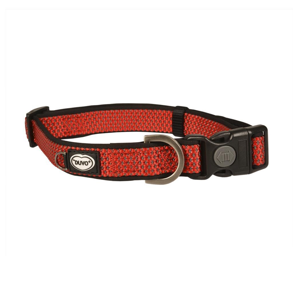 EXPLOR EAST COLLAR NAILON