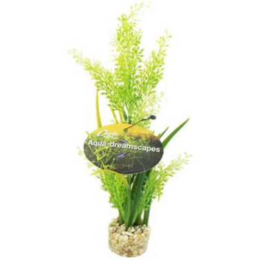 Aqua dreams Tropical Plant 20cm