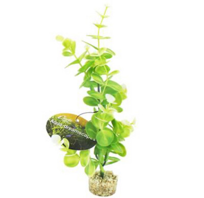 Aqua Dreams Ocean Eucalyptus 22cm