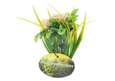Aqua Dreams Planted Flower 15cm