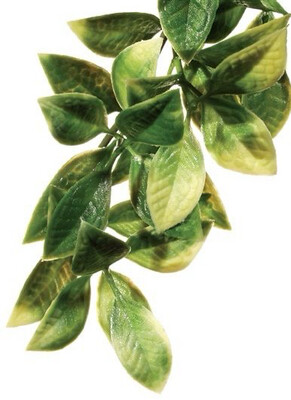 Exo Terra Mandarin Medium Plant