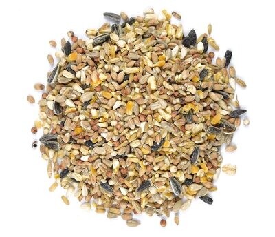 Wild Bird Seed 900g
