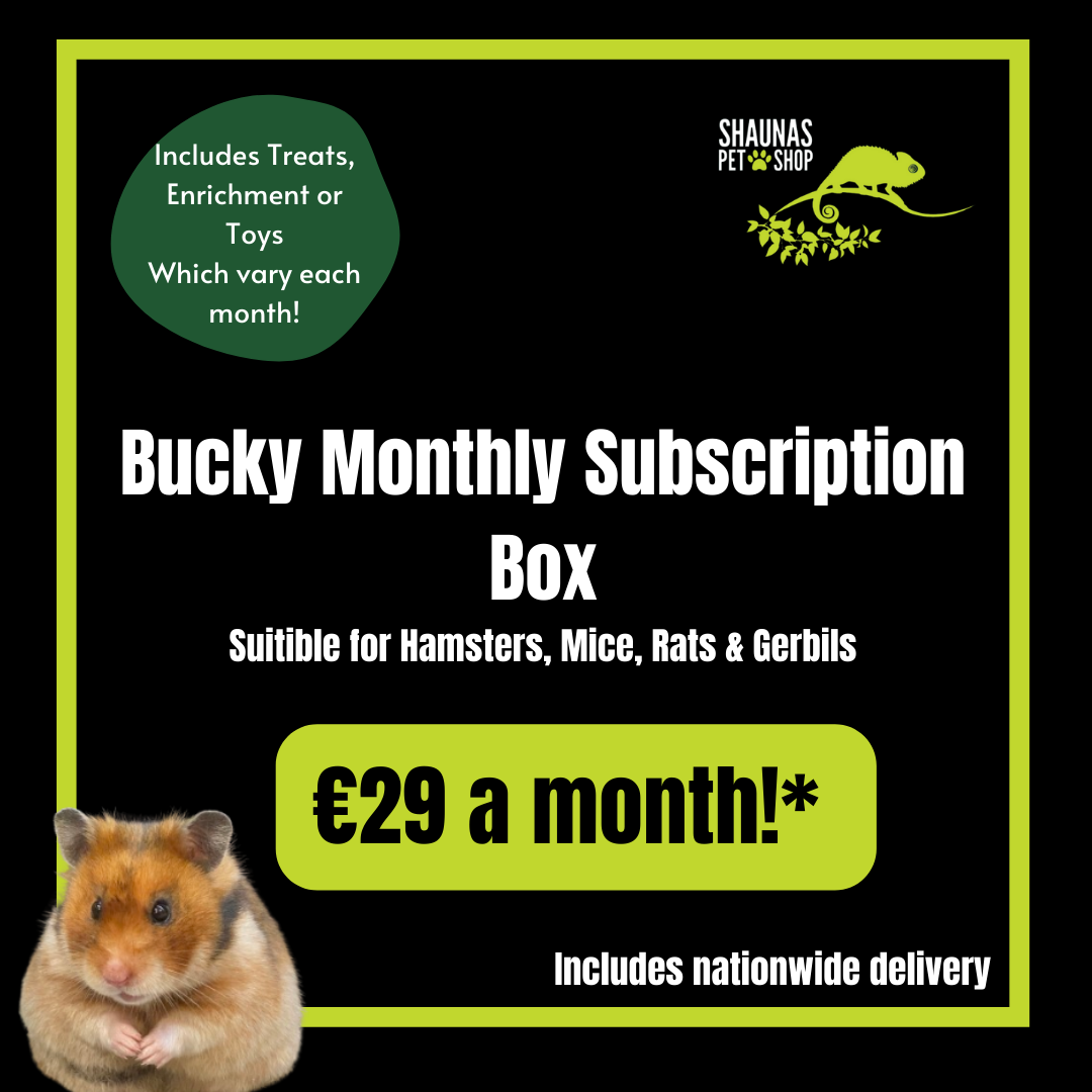 Shauna&#39;s Petshop Treat Box - *Bucky Subscription Box - Subscribe for only €29 a month by clicking the link in the description!