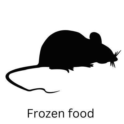 Frozen Food