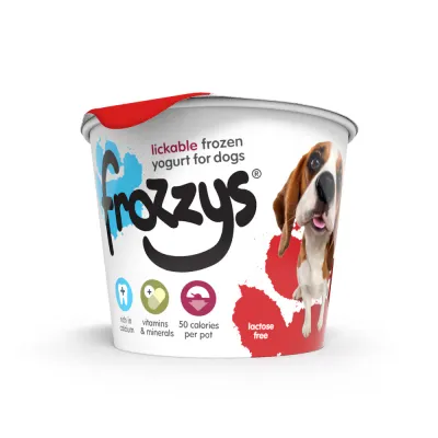 Frozzys Frozen Yogurt - Strawberry - 4 Pack