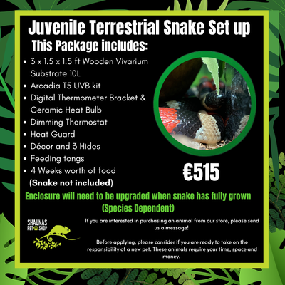 Juvenile Terrestrial Snake Set Up