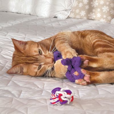 Kong Cat Active Rope Toy