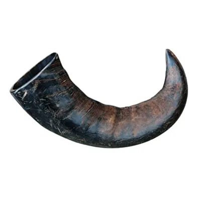 Wilder - Buffalo Horn (1 Piece)